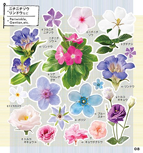 Picture Book NEO Flower Seal (Shogakukan Picture Book NEO Entire